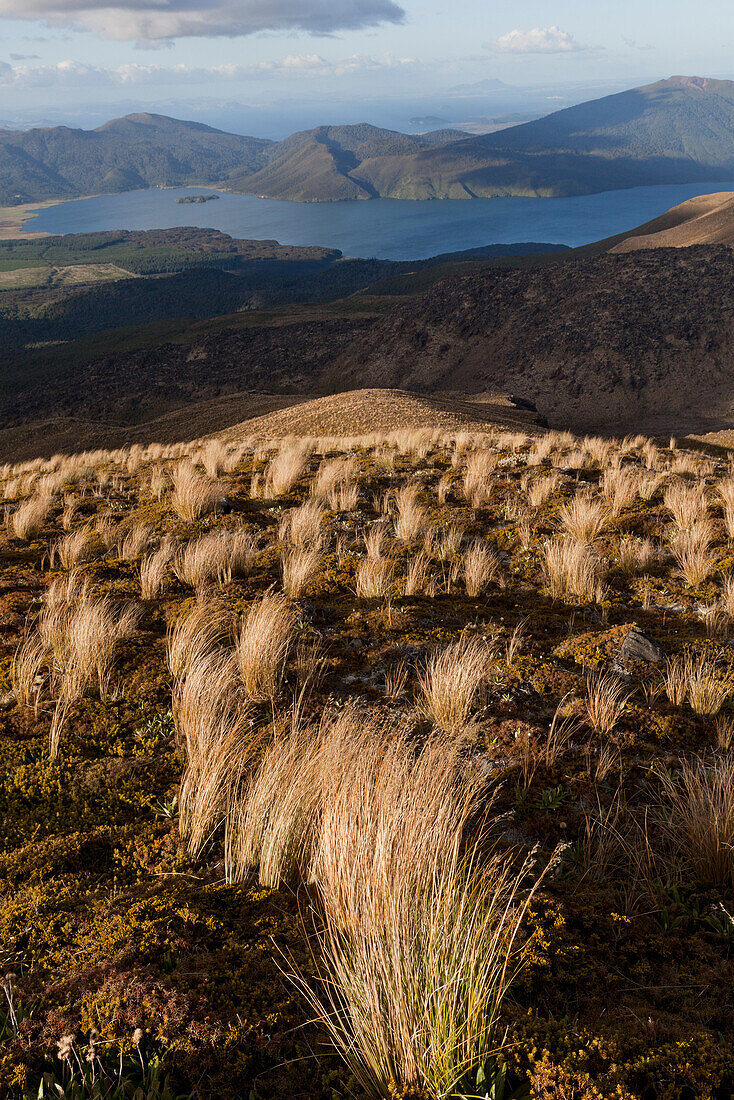 Volcanic terrain, Lake Rotoaira in the background, Tongariro Alpine Crossing, Great Walk, Tongariro National Park, World Heritage, North Island, New Zealand