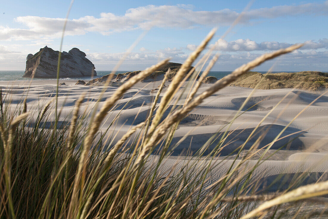 Dünenlandschaft am Wharariki Strand,Felseninseln im Hintergrund,wellenförmige Sandformationen,Westküste,Südinsel,Neuseeland