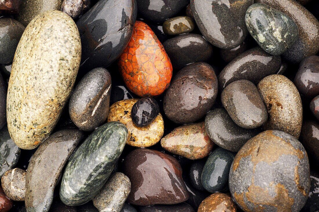 Colorful Stones on Rialto Beach, near La Push, Washington USA