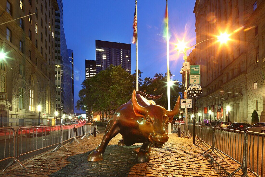 Wall Street Bull, NYC