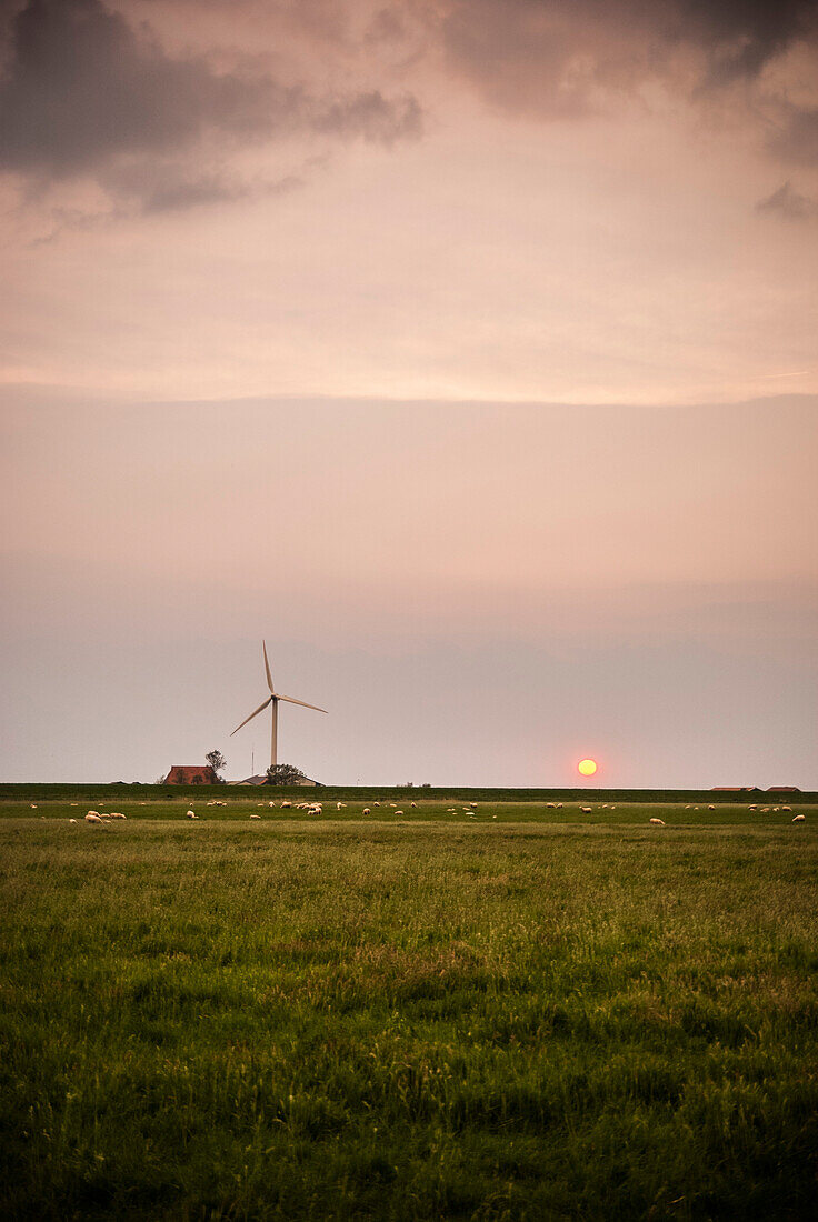 Rural Farmland With Wind Turbine at Sunset, Workum, Netherlands