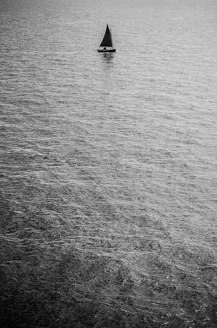 Lone Sail Boat in Ocean