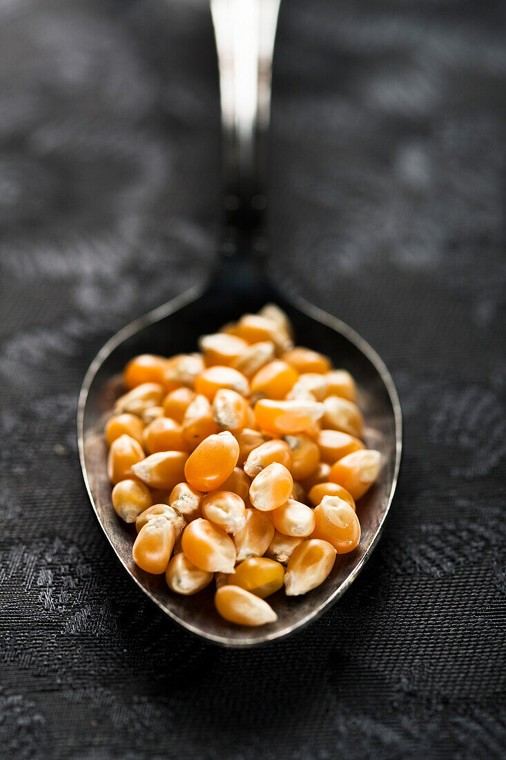 Unpopped Popcorn Kernels in Spoon, Close Up