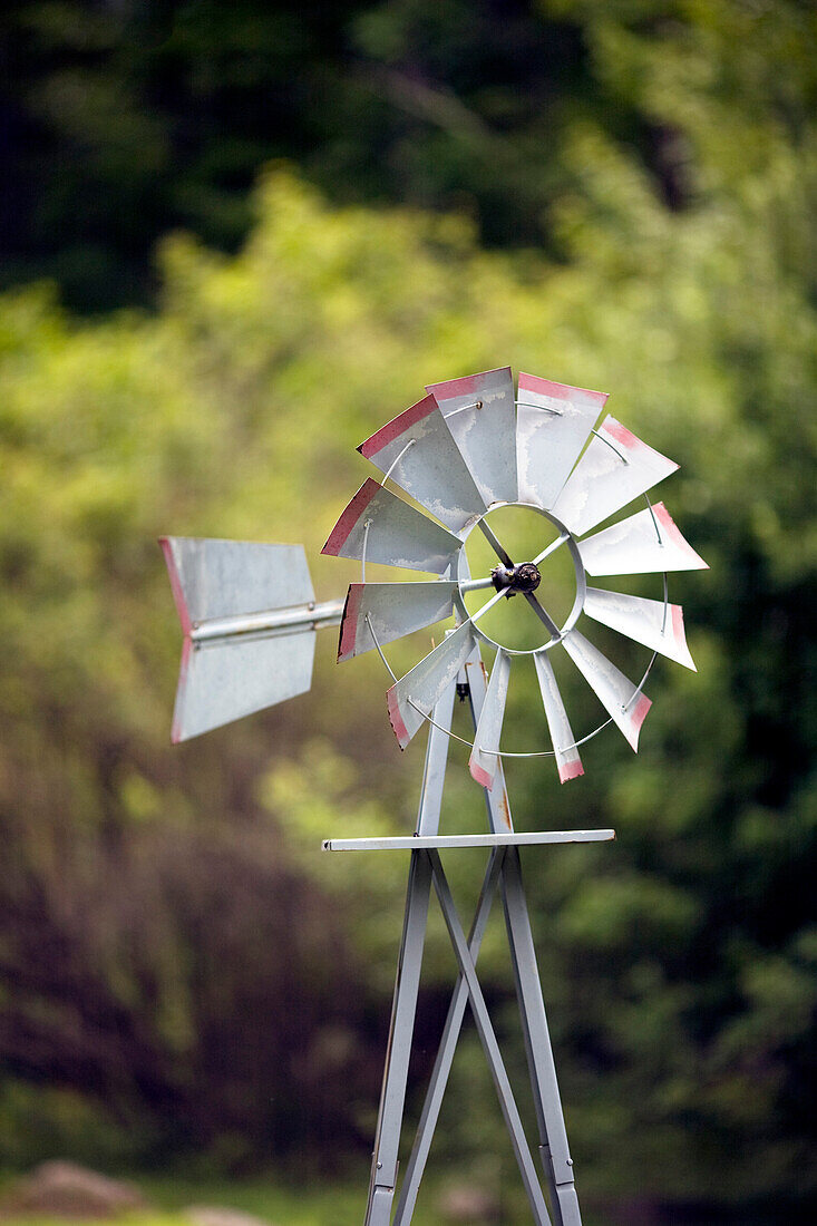 Backyard Windmill