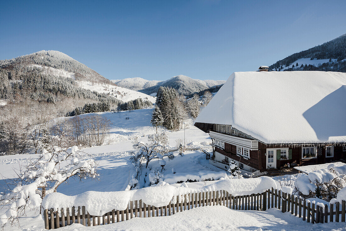 Schneebedeckte Bäume und Holzhaus, Präg, nahe Todtnau, Schwarzwald, Baden-Württemberg, Deutschland