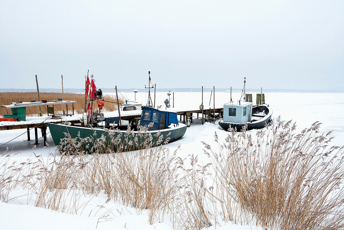 Boats in Gross Zicker, Moenchgut, Isle of Ruegen Mecklenburg-Western Pomerania, Germany Europe