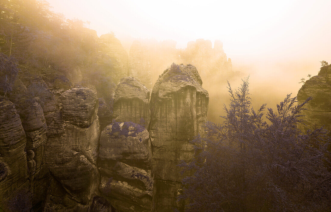 Neurathener Felswände, Felsenburg Neurathen, Sächsische Schweiz, Elbsandsteingebirge, Sachsen, Deutschland, Europa