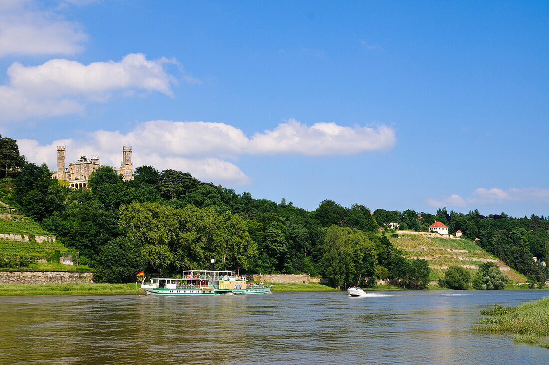 View of Eckberg castle and steamboat on Elbe river, Dresden, Saxony, Germany, Europe
