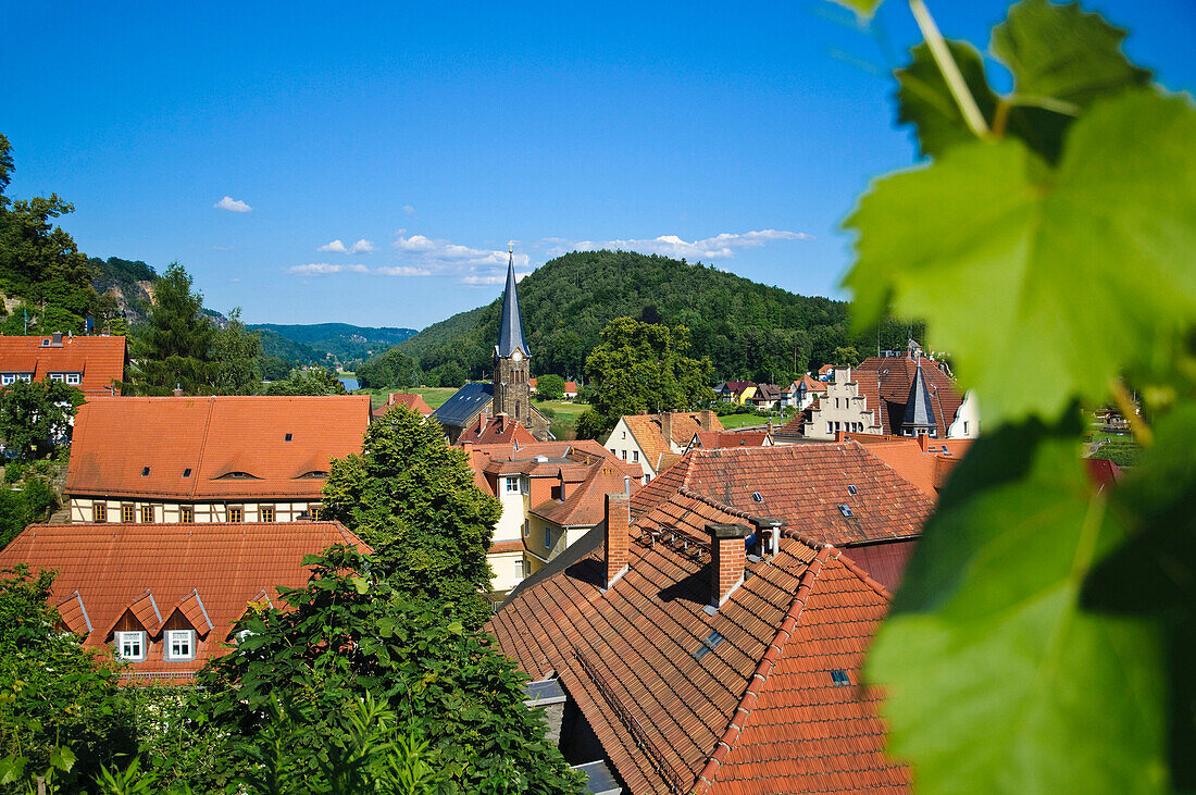 Blick auf die Stadt Wehlen, Elbsandsteingebirge, Sächsische Schweiz, Sachsen, Deutschland, Europa