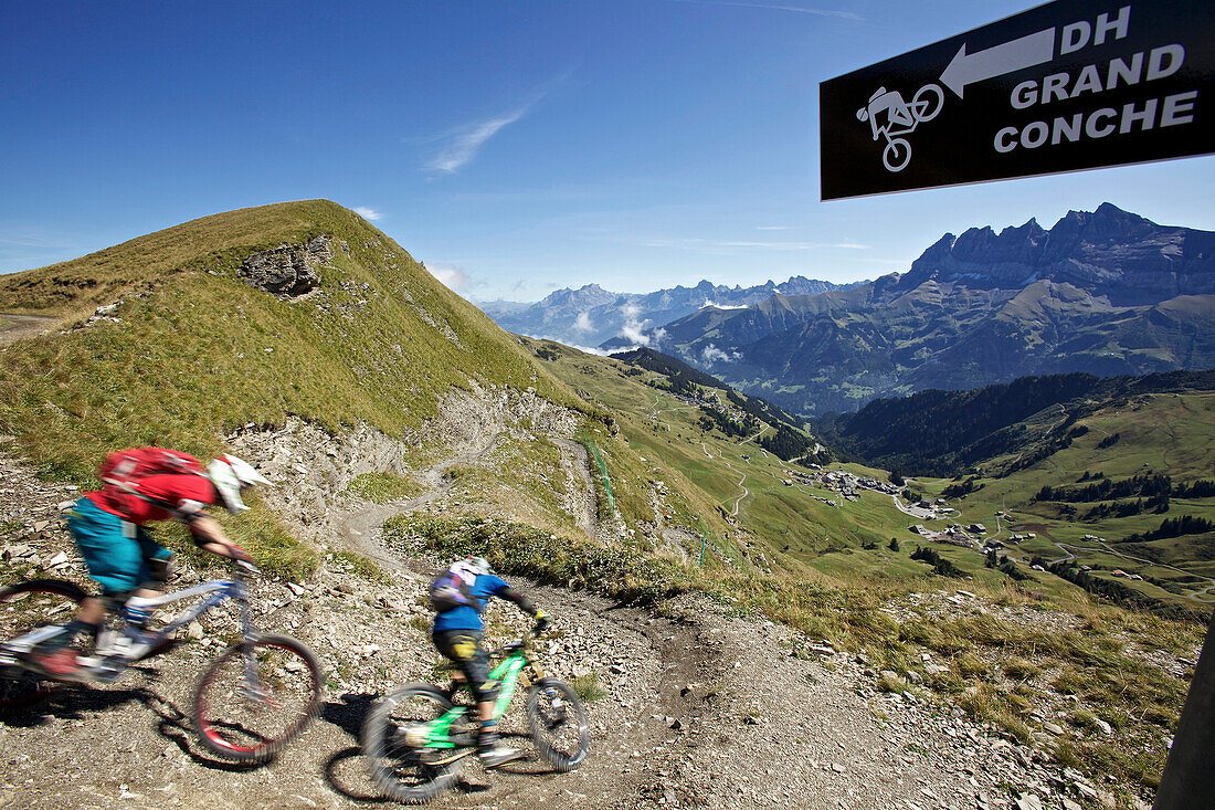 Two freeride mountain bikers off-roading, Chatel, Haute-Savoie, France