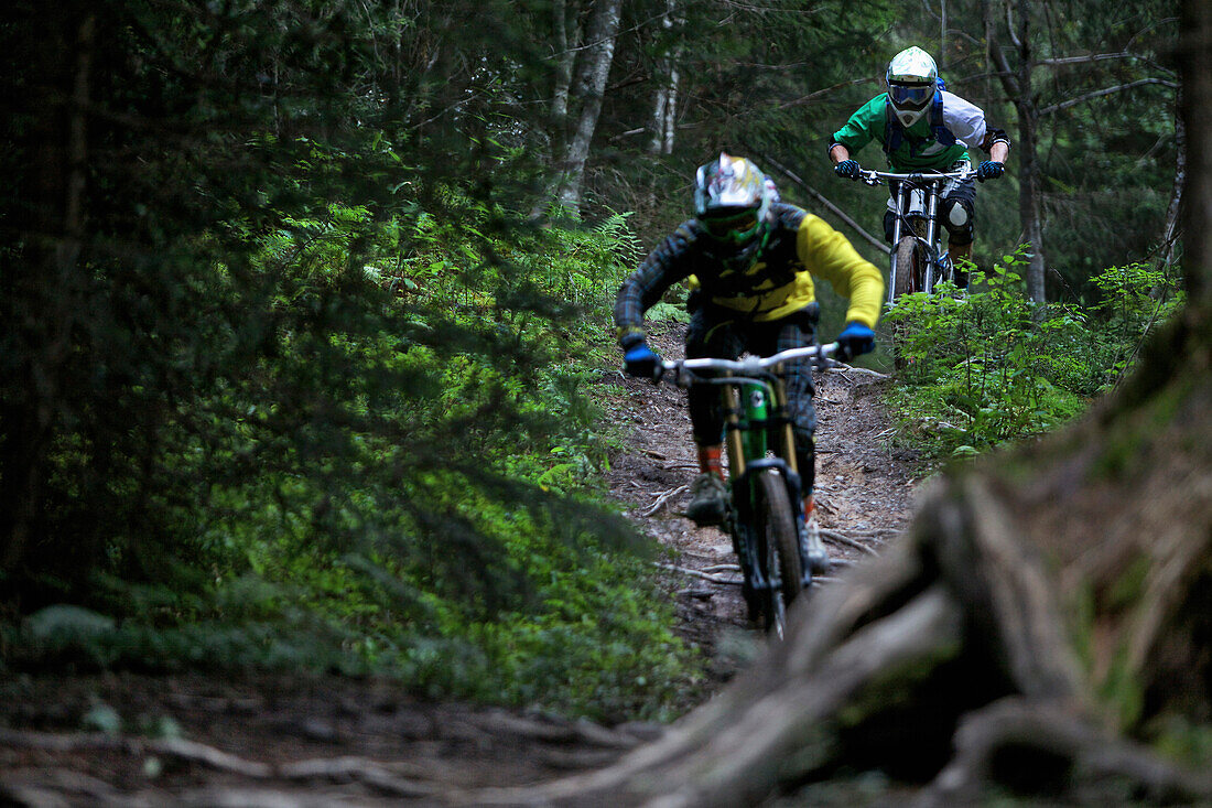 Zwei Freeride Mountainbiker im Gelände, Chatel, Haute-Savoie, Frankreich