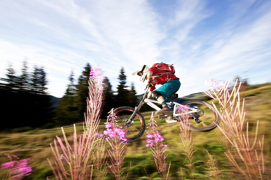 Downhill mountain biker off-roading, Morzine, Haute-Savoie, France
