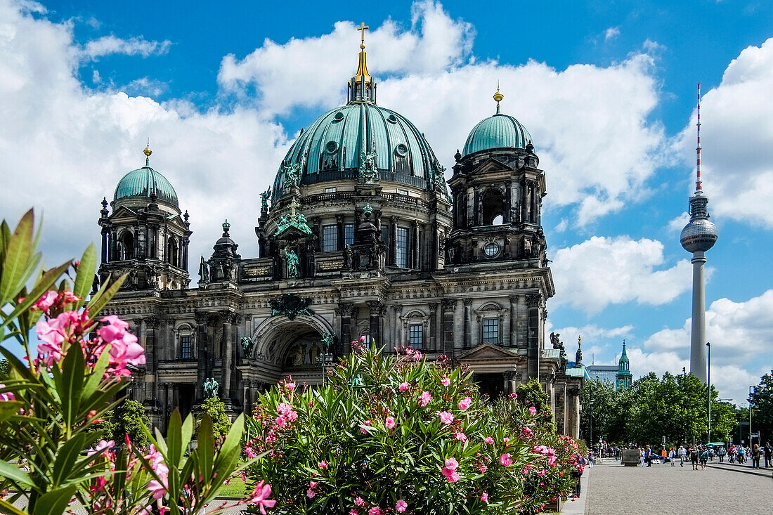 Berliner Dom und Fernsehturm, Berlin Mitte, Berlin, Deutschland