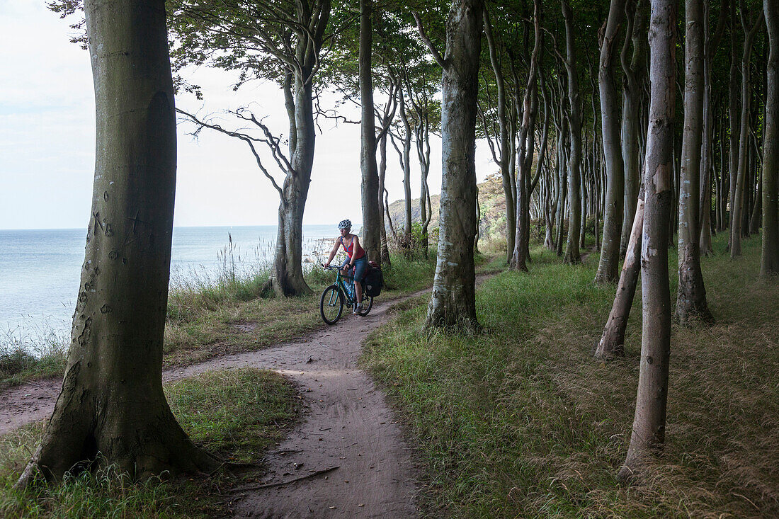 Women cycling through Gespensterwald (ghost forest), Hoellenliet, Wittow Peninsula, Island of Ruegen, Mecklenburg-Western Pomerania, Germany