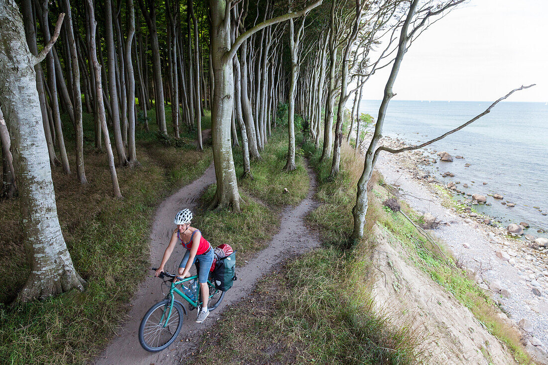 Radfahrerin fährt durch Gespensterwald, Höllenliet, Halbinsel Wittow, Insel Rügen, Mecklenburg-Vorpommern, Deutschland