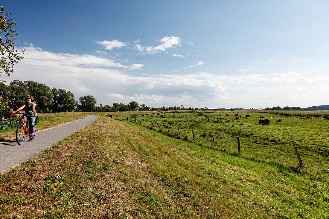 Cycling track with a young women cyclist, Ostsee, Middelhagen, Moenchgut Peninsula, Island of Ruegen, Mecklenburg West-Pomerania, Germany