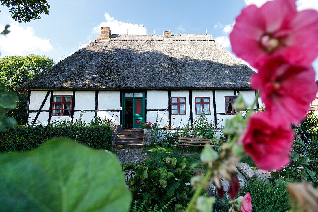 Traditional house with thatched roof and with garden, Baltic Sea, Middelhagen, Moenchgut Peninsula, Island of Ruegen, Mecklenburg West-Pomerania, Germany