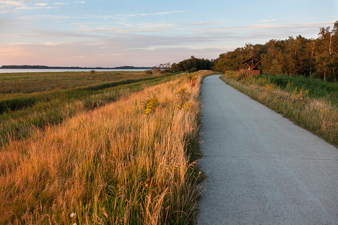 Path along a bodden, Haide, Ummanz, Island of Ruegen, Mecklenburg-Western Pomerania, Germany