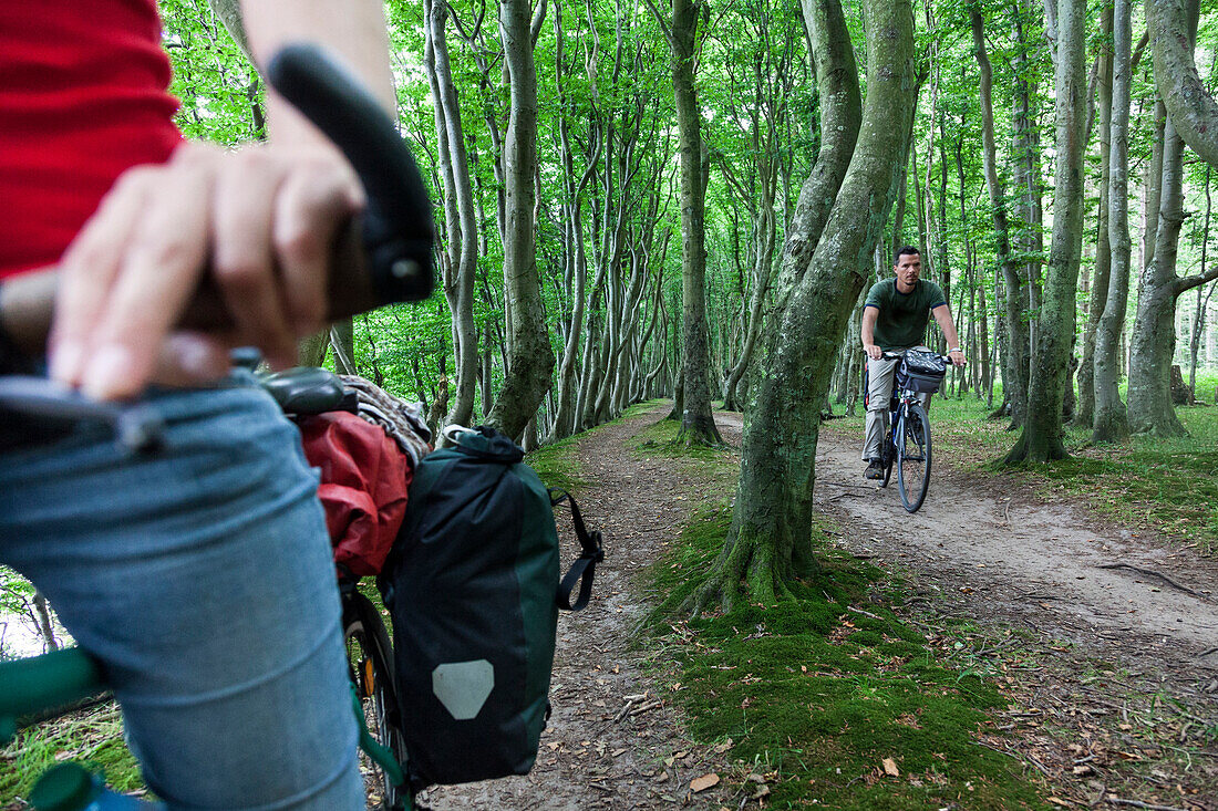 Frau und Mann radeln auf Pfad über dem Meer durch den Wald, Gespensterwald, Ostsee, Höllenliet, Halbinsel Wittow, Insel Rügen, Mecklenburg-Vorpommern, Deutschland