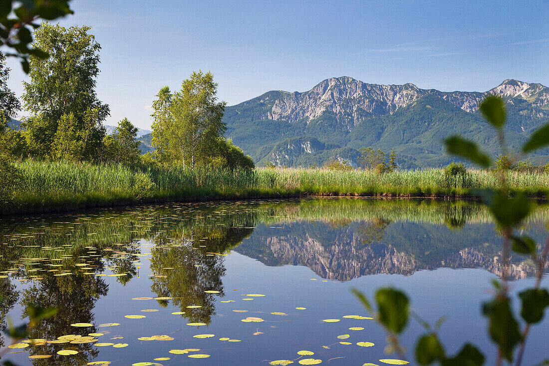 Pond with Herzogstand mountain, Bavarian Pre-Alps, Upper Bavaria, Germany, Europe