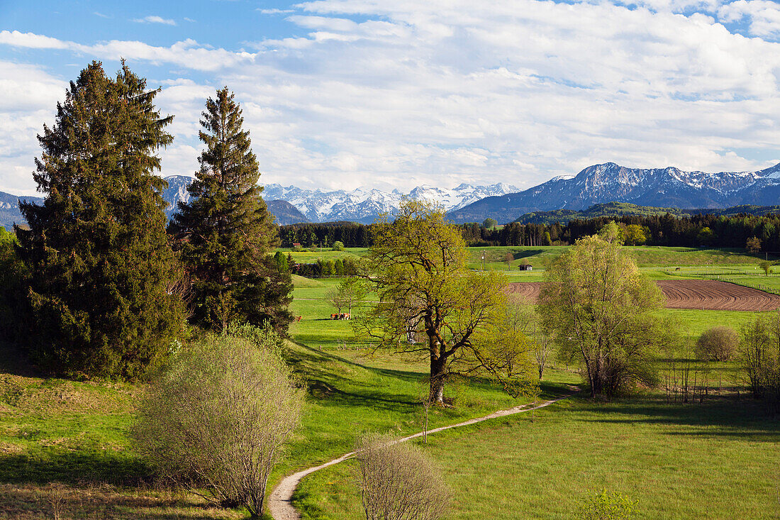 Landschaft bei Iffeldorf, Oberbayern, Bayern, Deutschland, Europa