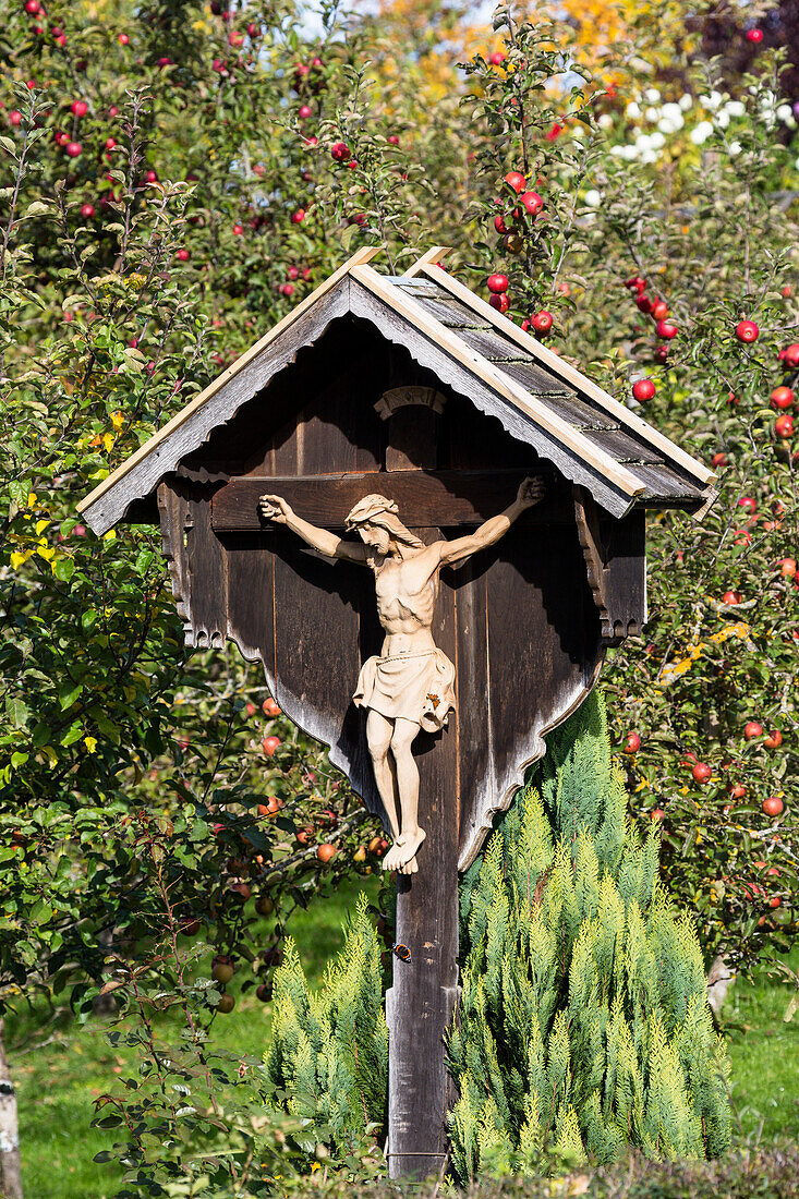 Crucifix between apple trees in autumn, Upper Bavaria, Bavaria, Germany