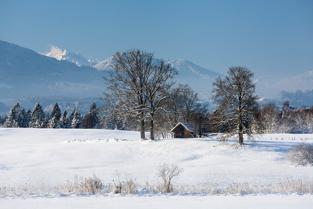 Winter scenery near Uffing at lake Staffelsee, Upper Bavaria, Bavaria, Alps, Germany