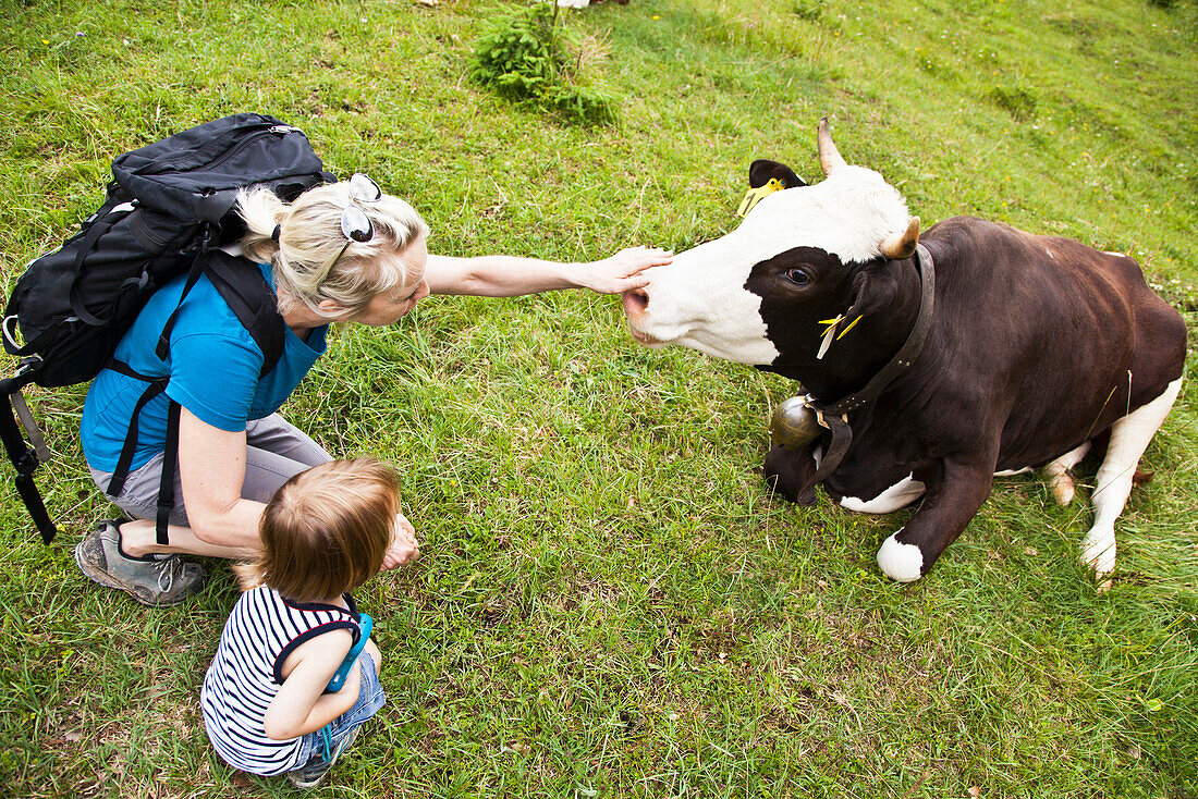 Frau mit Kind streichelt eine Kuh, Kloaschauer Tal, Bayrischzell, Bayern, Deutschland