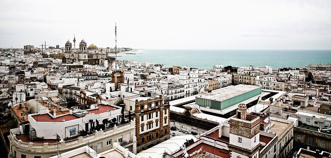 View over the roofs of Cadiz, seaport on the Atlantic ocean, Region Cadiz, Andalusia, Spain