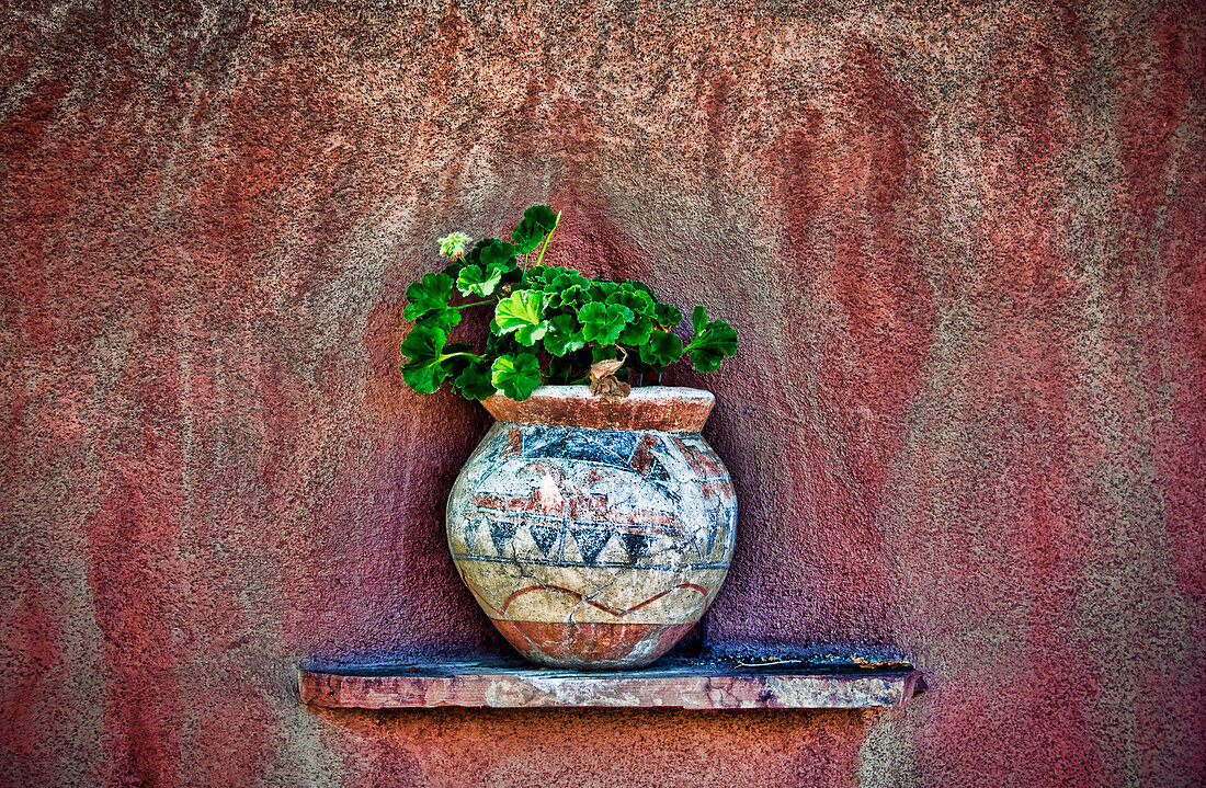 New Mexican Wall Sconces, New Mexico, Rustic detail of potted plant against adobe wall.