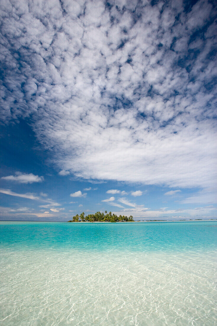 French Polynesia, Tuamotu Islands, Rangiora, Turquoise water and blue skies surround isolated isalnd.