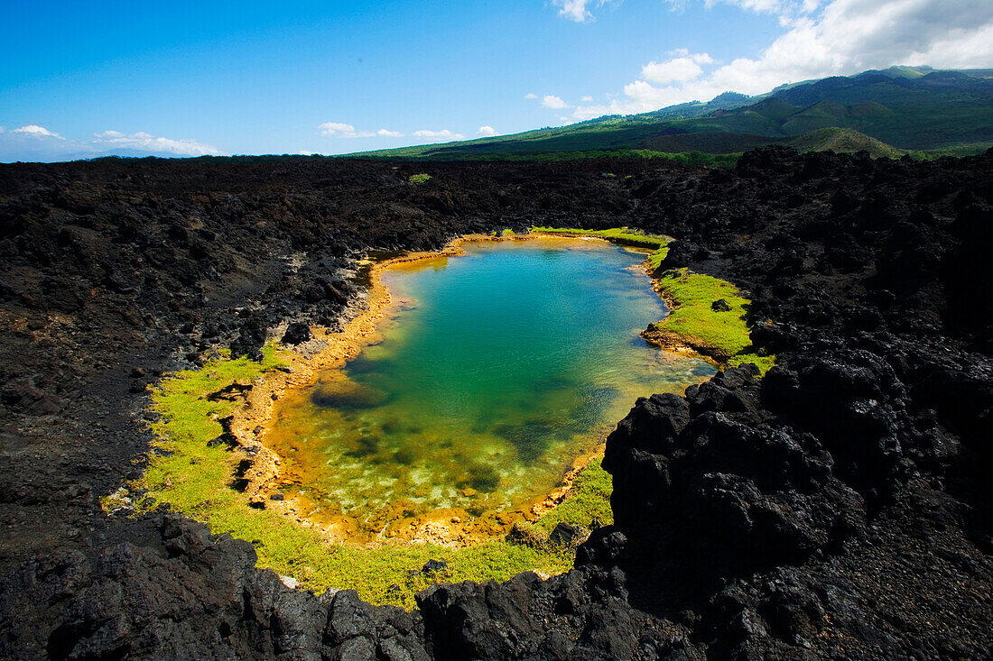 Hawaii, Maui, Makena, Ahihi Kinau Natural Reserve, Anchialine pond.