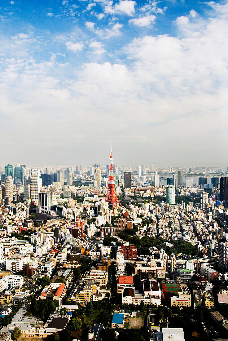 Japan, Tokyo, Tower and city view from top of Mori Tower.