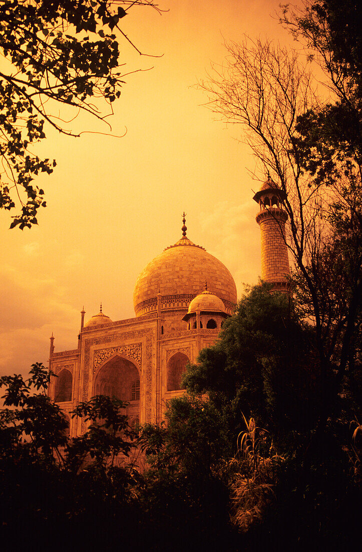 India, Taj Mahal at dusk, orange skies and dark trees.