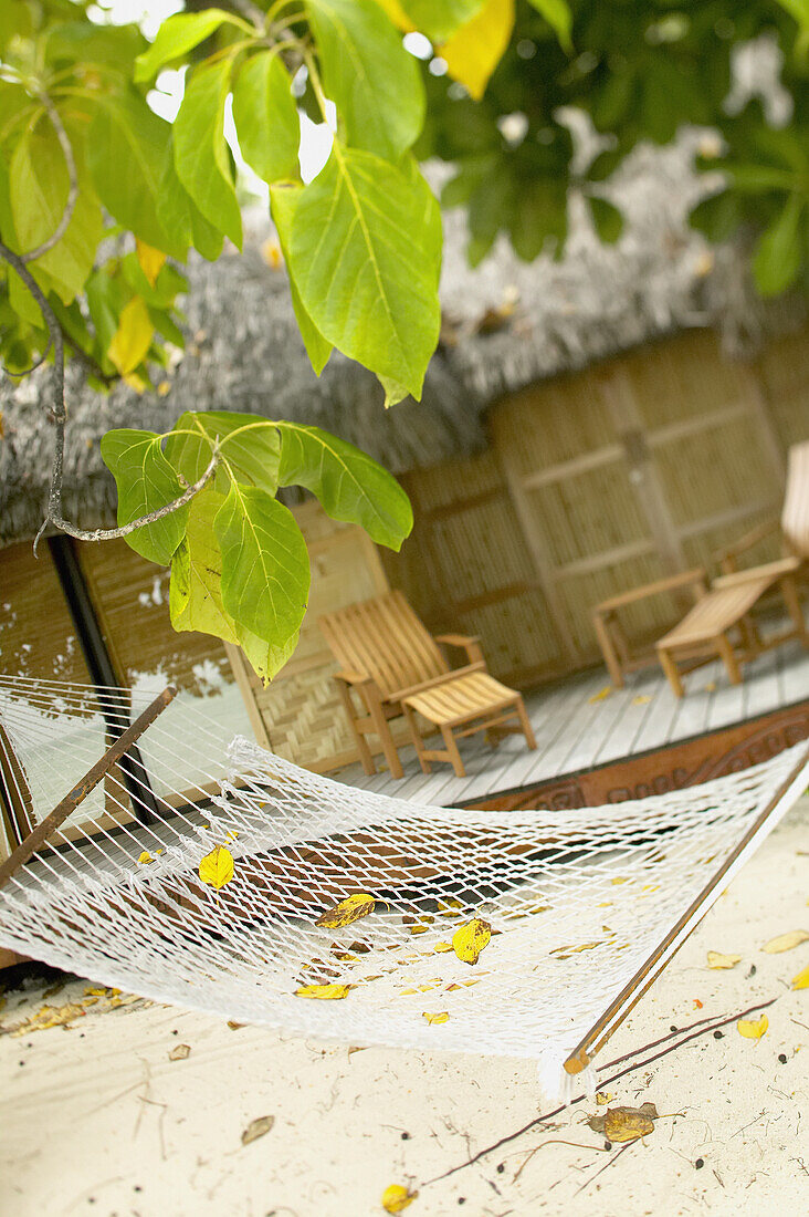 French Polynesia, Tahiti, Taha'a, hammock on sandy beach in front of thatch bungalows and deck chairs