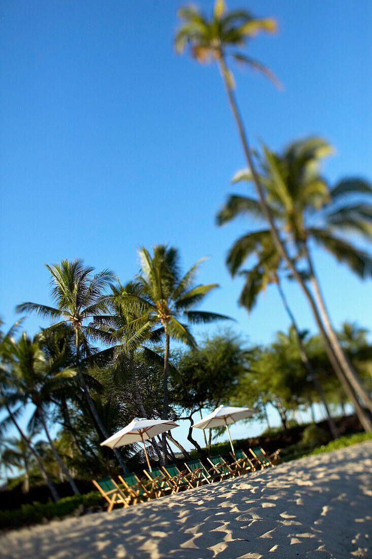 Hawaii, Big Island, Kona Coast, Kukio Beach, Beach chairs and umbrellas line the shore.