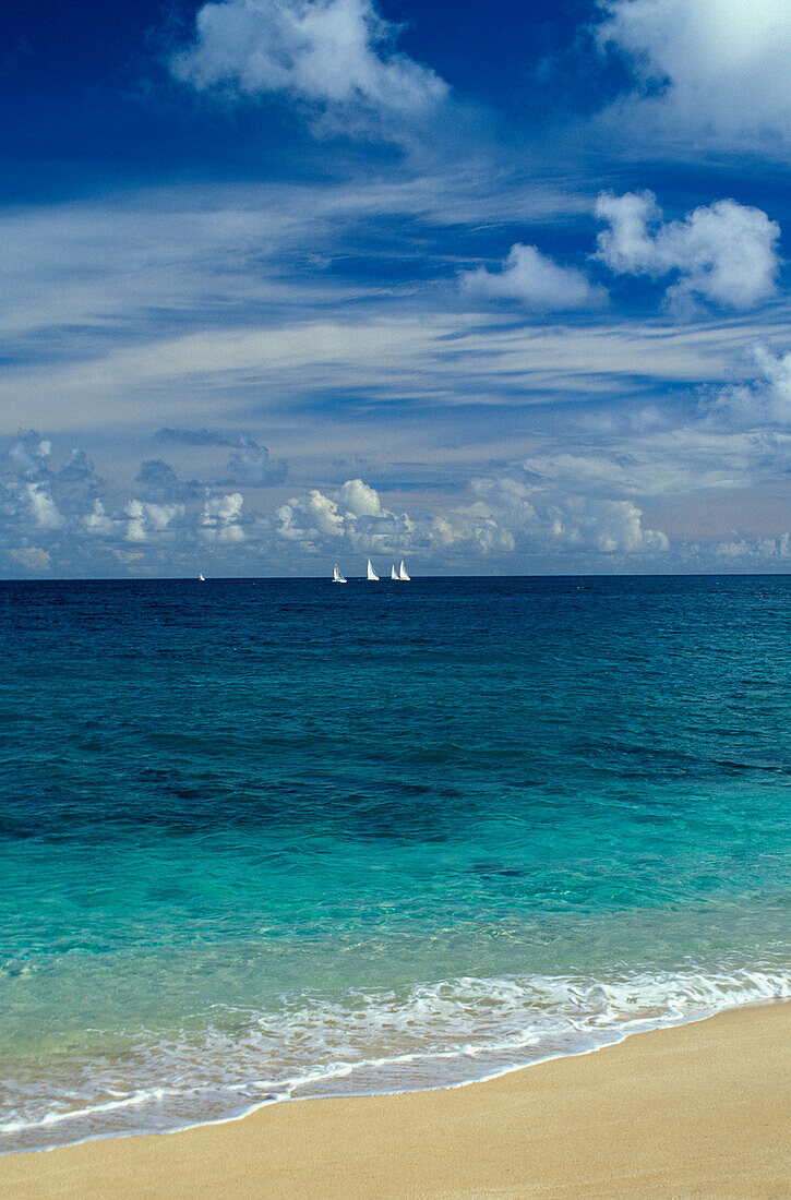 Hawaii, Oahu, North Shore, Sailboat race in distance, view from shoreline, wispy clouds