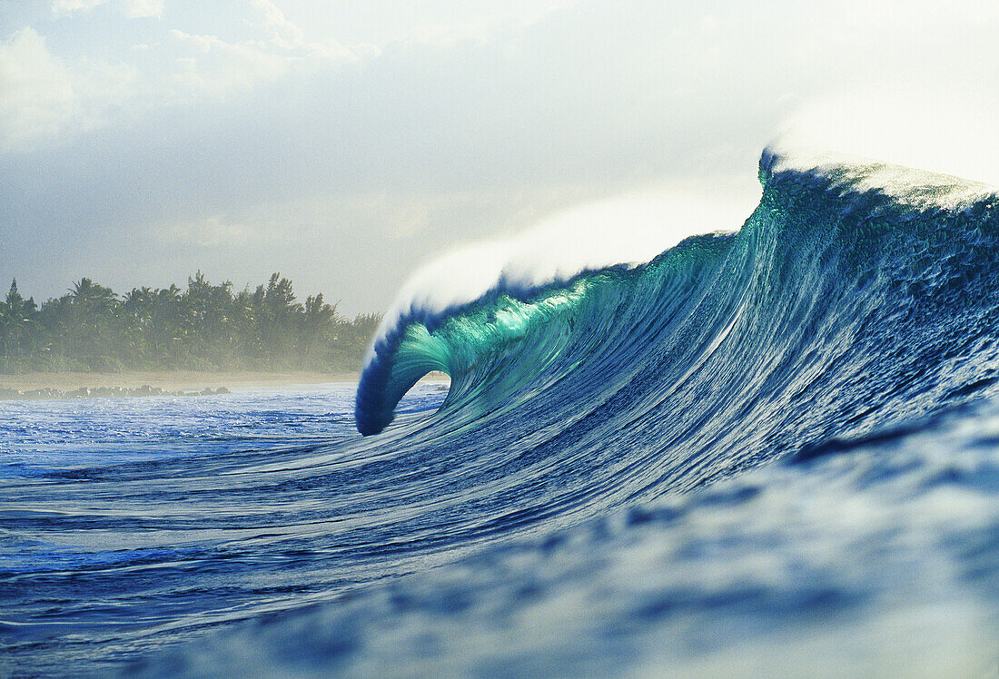 ''Hawaii, Oahu, North Shore; green wave curling with mist blowing off tip, beach in background''