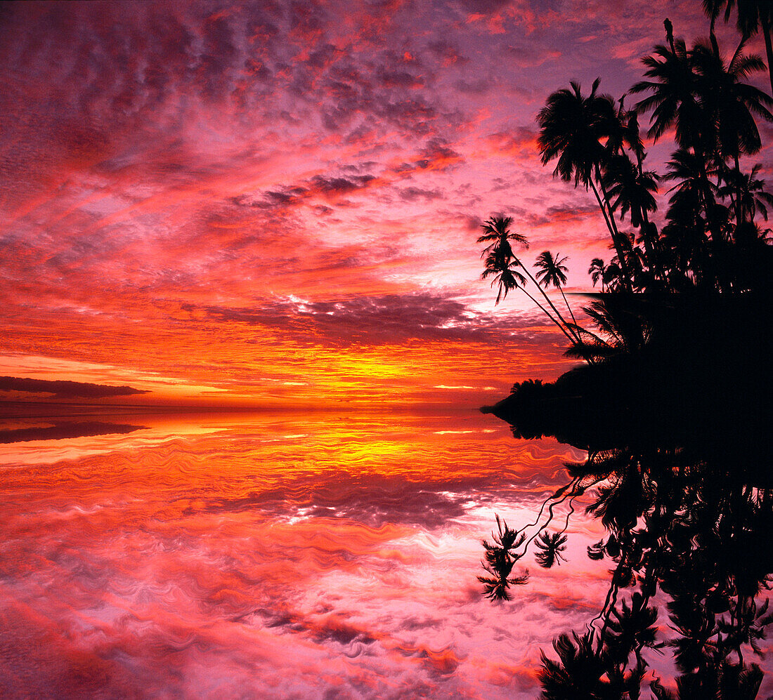 [DC] Hawaii, Molokai, Pink purple orange sunset with silhouetted palms, reflections C1582