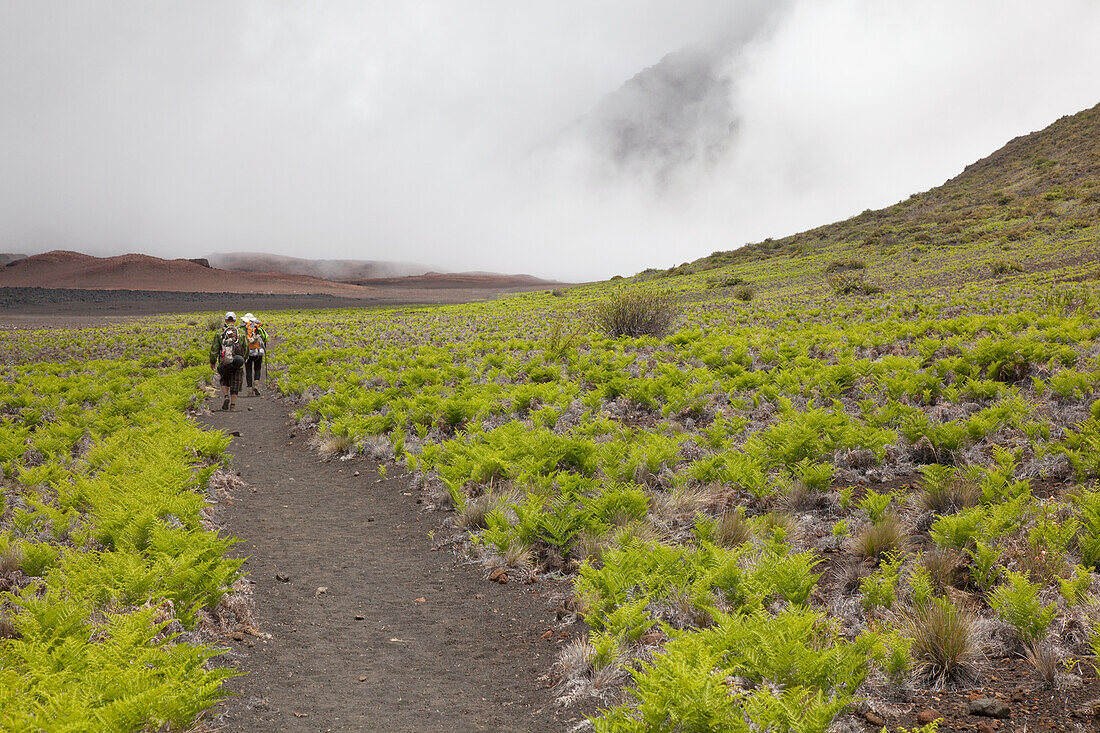 Hawaii, Maui, Haleakala Crater, A couple of hikers trekking through the crater.