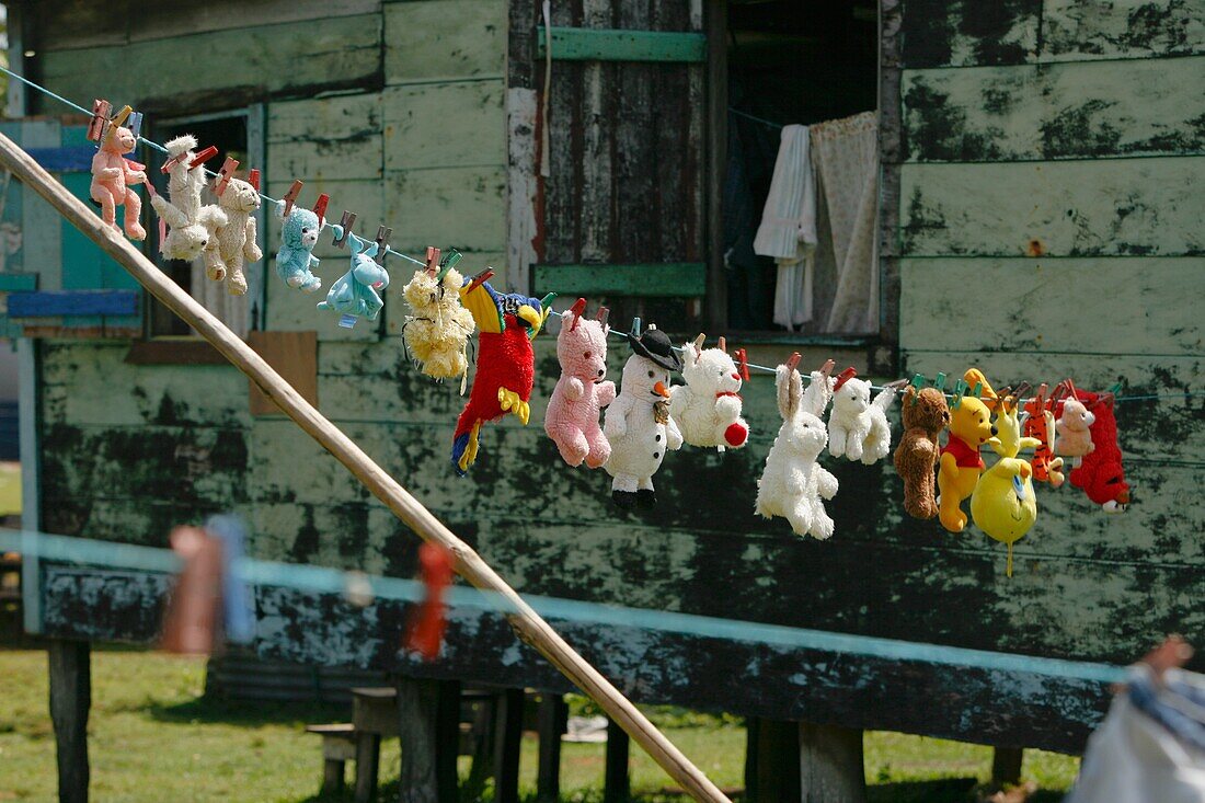 'Soft Toys Hanging On Washing Line, Tasbapauni, Nicaragua'