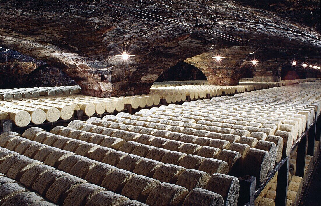 Blue cheese in Soulzon, a cheese cellar in Aveyron region, France