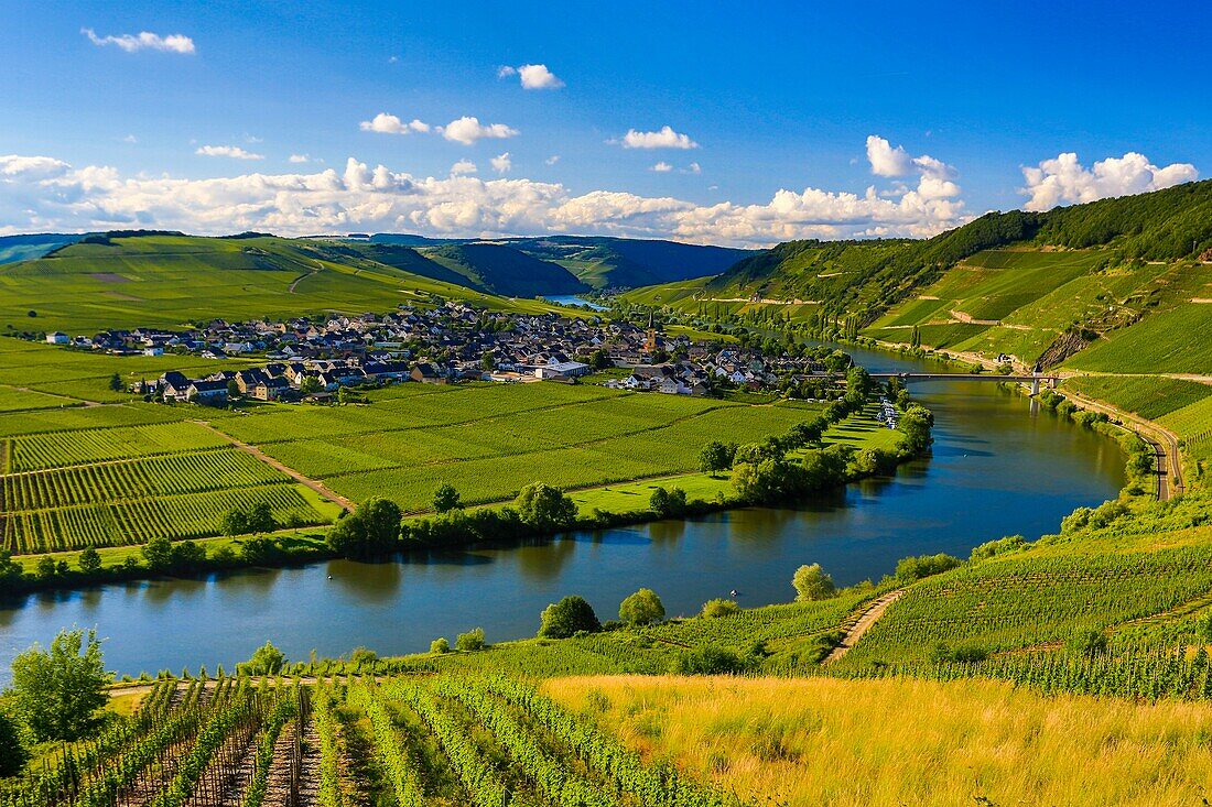 Germany ,Moseltal ,  Mosel Valley , Trittenheim City, Mose River, vinyards
