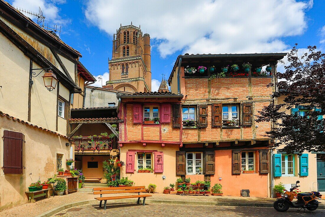 France , Albi City, old town , cathedral belfry