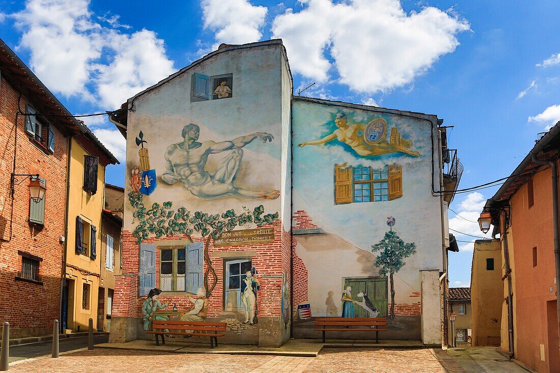 France , Albi City, Old Town , mural