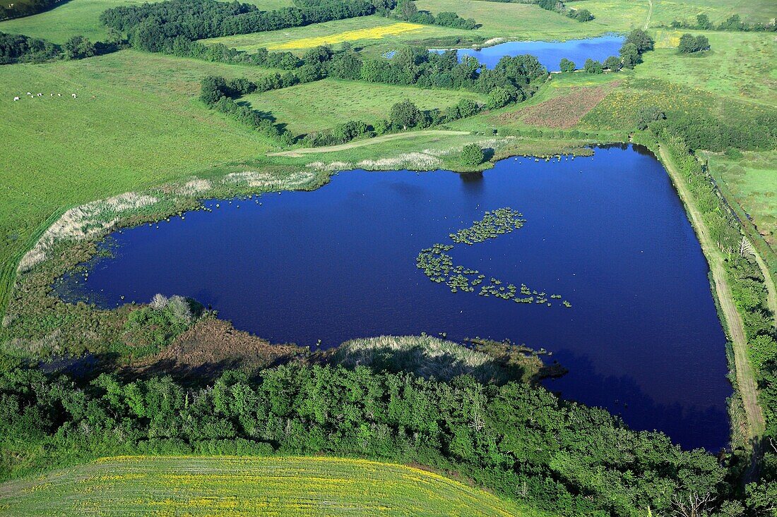 France, Indre (36), the Regional Natural Park of the Brenne, landscape with ponds and wetlands (aerial photographs)