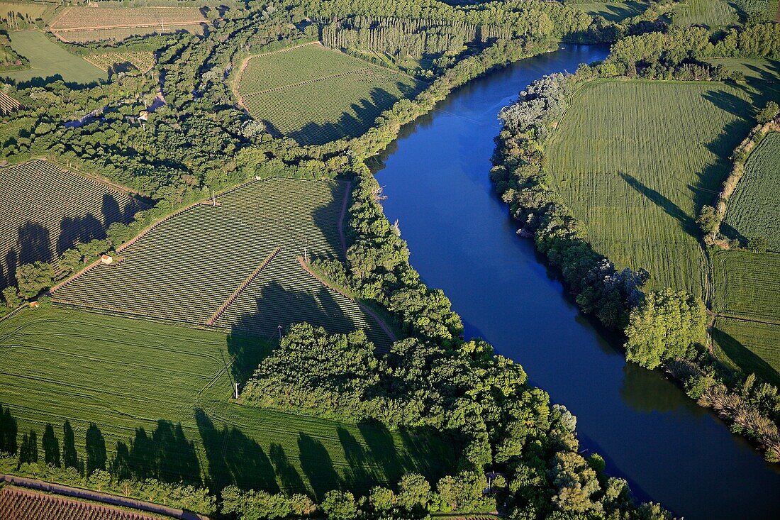 France, Hérault (34), the Hérault River, and the vineyards of Languedoc landscape (aerial photo)