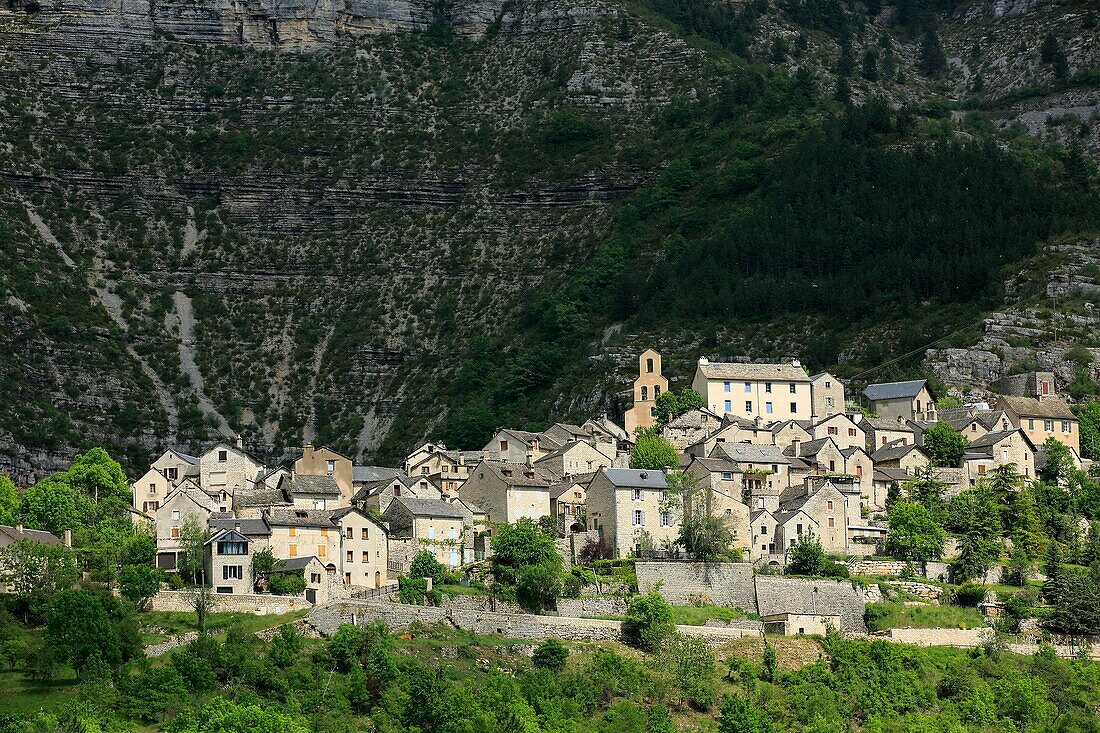 France, Lozère (48), Montbrun, hilltop village located in the Tarn gorges, has backed the mountain plateau