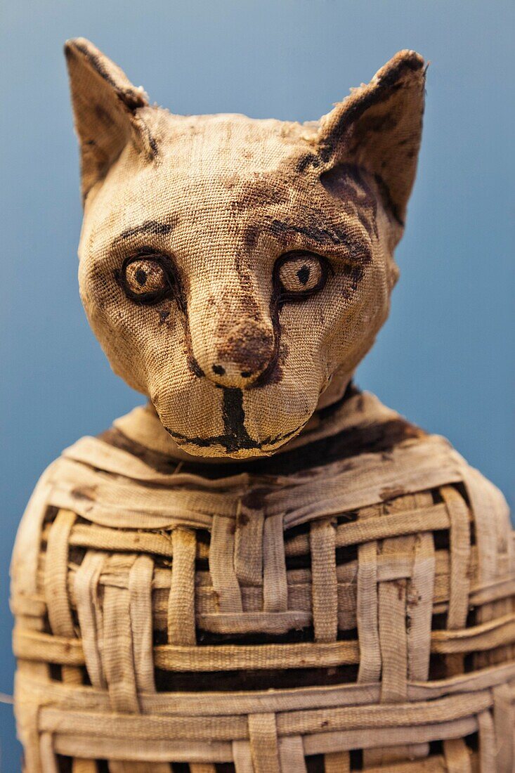 England,London,British Museum,Egyptian Room,Display of Egyptian Mummified Cat