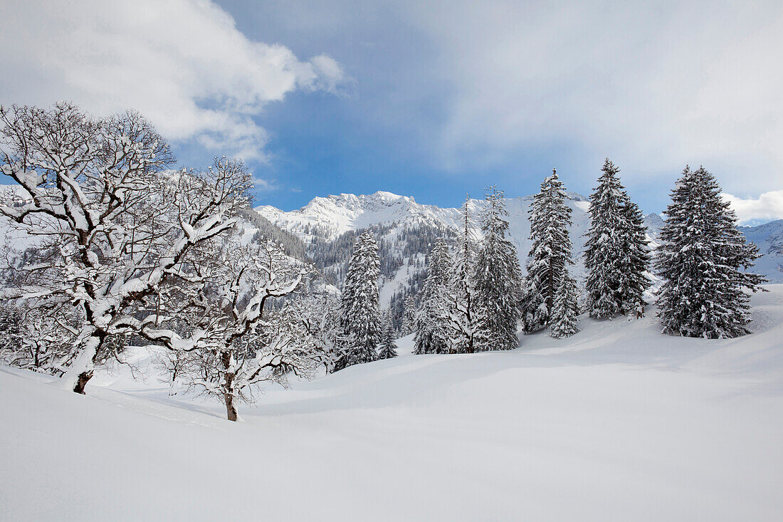 Winter landscape in Hintersteiner valley near Bad Hindelang, Allgaeu, Bavaria, Germany